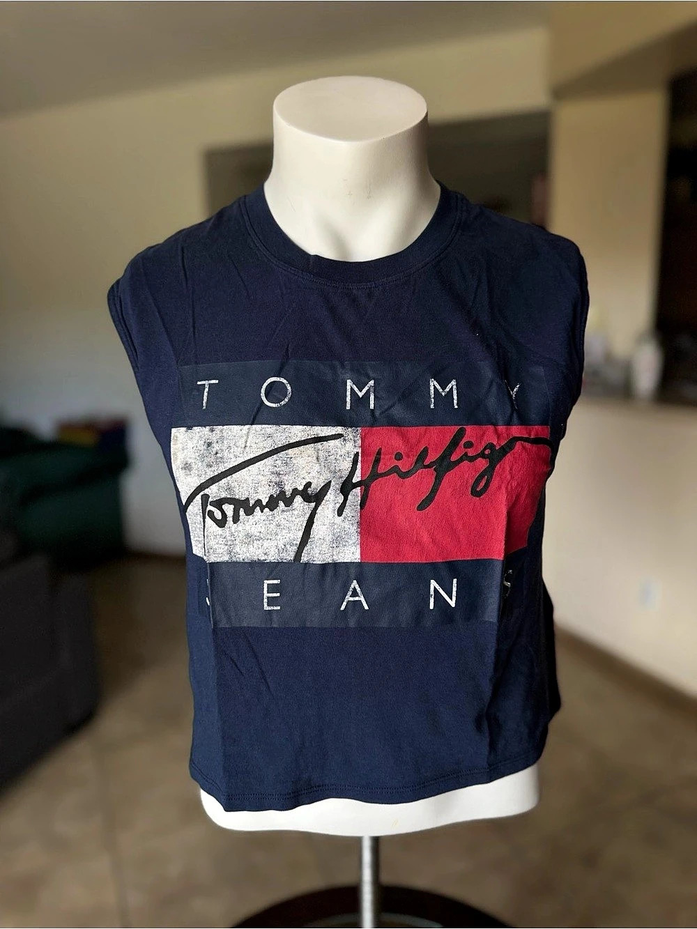 Tommy Hilfiger Tommy Jeans Flag Logo Graphic T-Shirt Blue & Red Small